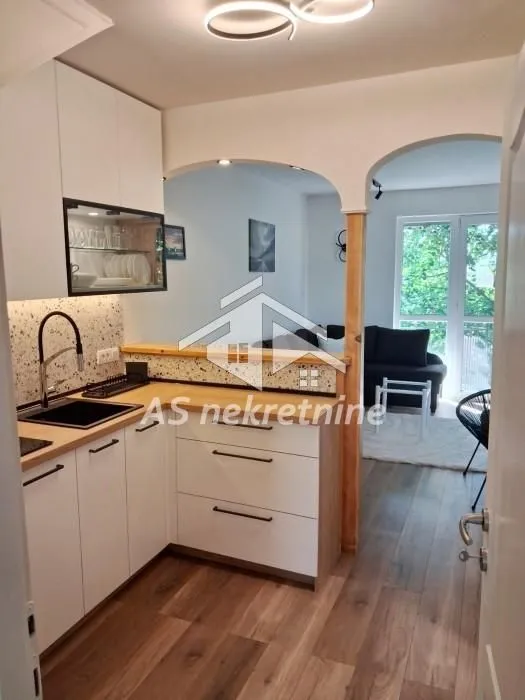 Izdavanje, dvosoban stan, 54m², Kalenić Pijaca, Vračar Sve Podlokacije