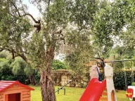 Sale, hospitality venue, 2330m², Budva, Crna Gora - image 10