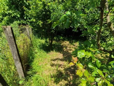 Prodaja, kuća, 75m², Ribare, Jagodina - image 11