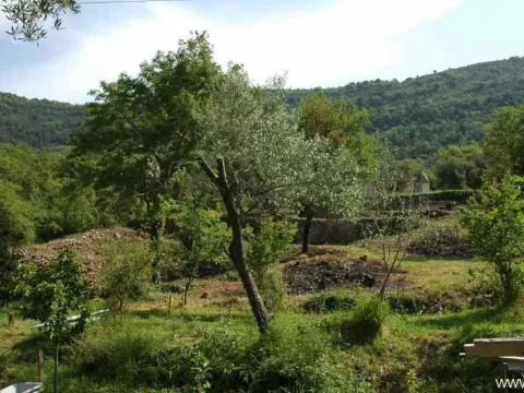 Prodaja, plac, 1554m², Kotor, Crna Gora - image 3