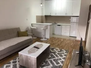 Izdavanje, jednosoban stan, 50m², Tuški Put, Podgorica