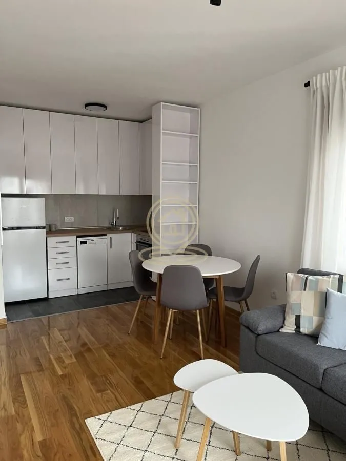 Izdavanje, dvosoban stan, 45m², Južni Bulevar, Vračar Sve Podlokacije
