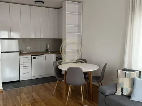 Rent, two bedroom apartment, 45m², Južni Bulevar, Vračar Sve Podlokacije - image 7