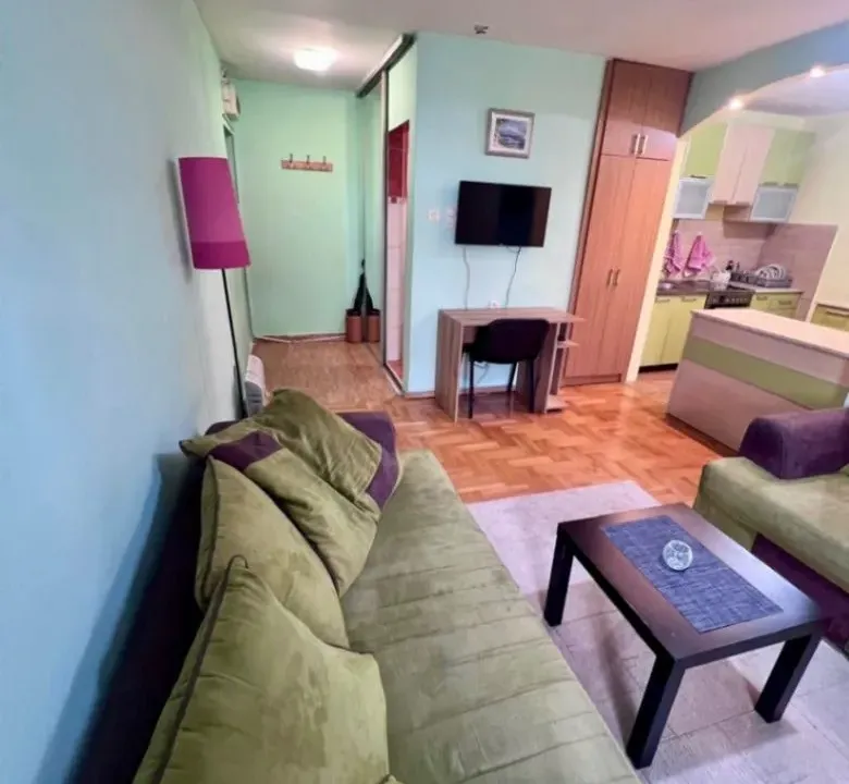 Rent, one bedroom apartment, 38m², Blok 5, Podgorica