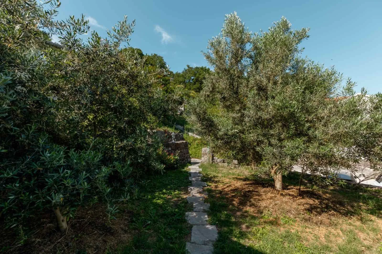 Prodaja, plac, 2122m², Herceg Novi, Crna Gora