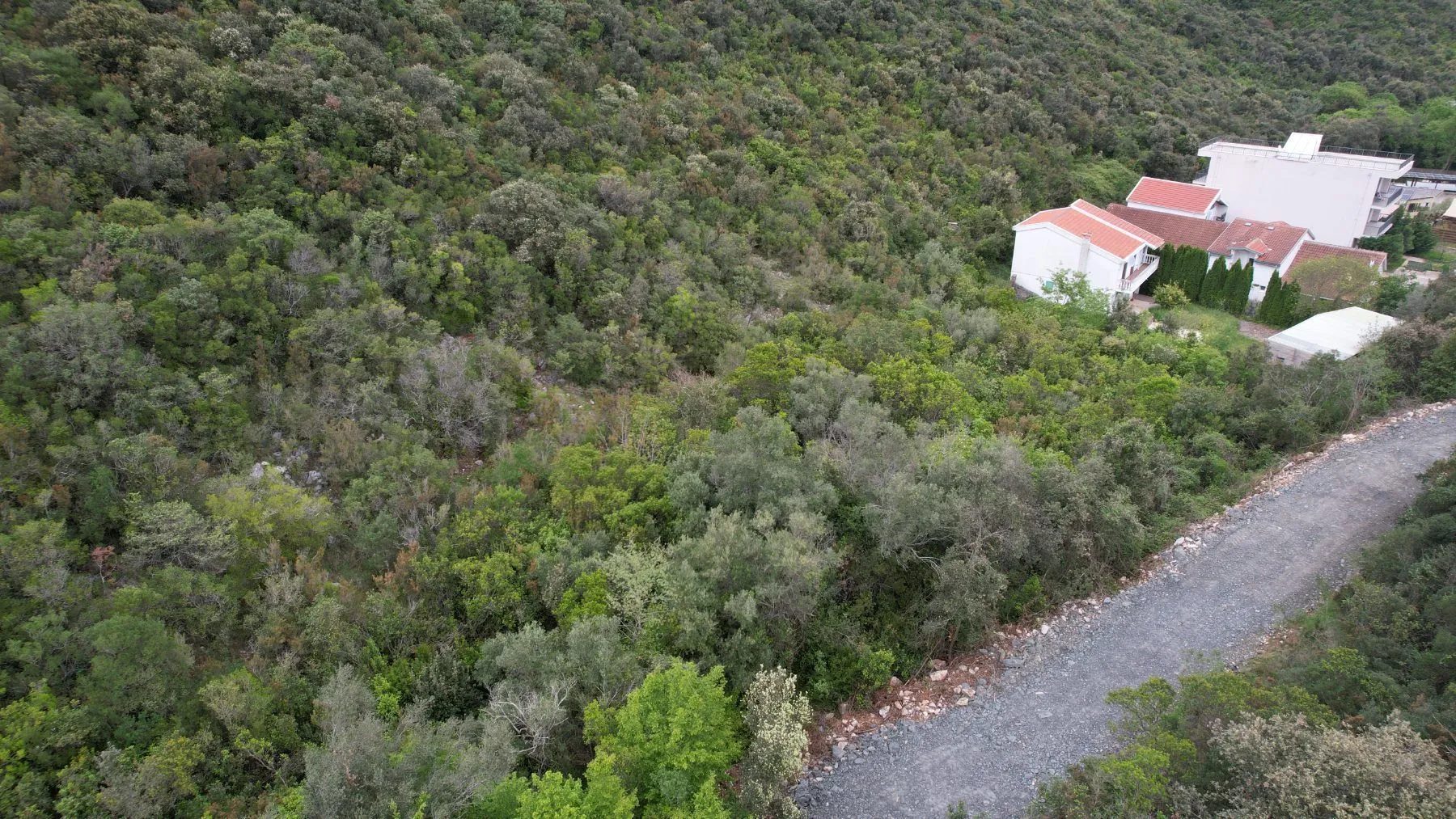 Prodaja, plac, 3585m², Krimovica, Kotor