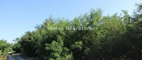 Zemljište in Šangaj