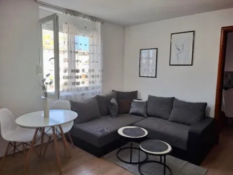 Izdavanje, jednosoban stan, 50m², Centar, Podgorica - image 1