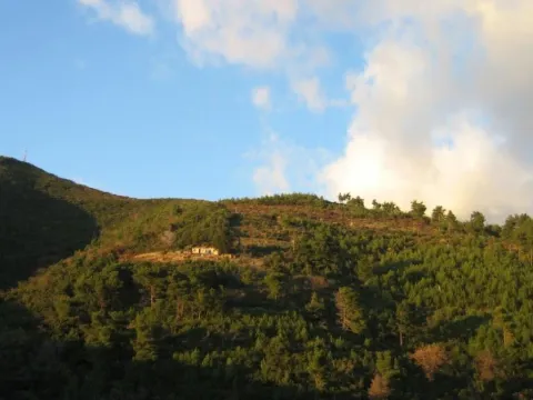 Prodaja, plac, 9500m², Komoševina, Budva - image 5