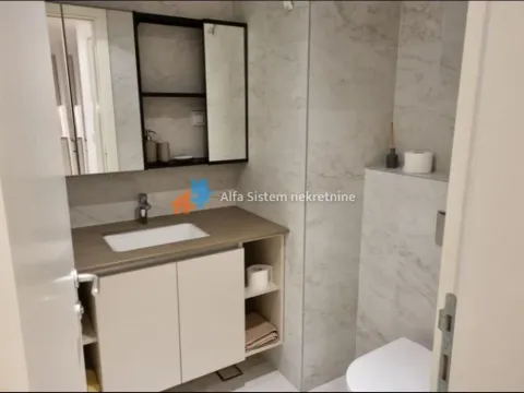 Izdavanje, dvosoban stan, 55m², Savski Venac, Beograd - image 9