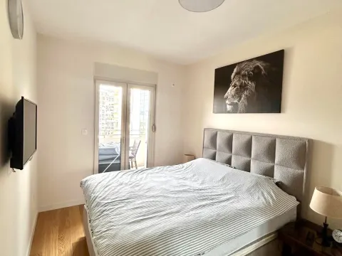 Izdavanje, jednosoban stan, 47m², Central Point, Podgorica - image 7