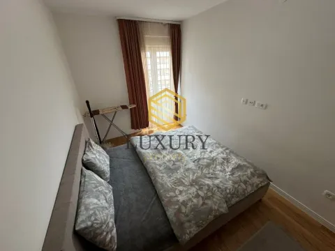 Izdavanje, jednosoban stan, 42m², Central Point, Podgorica - image 13