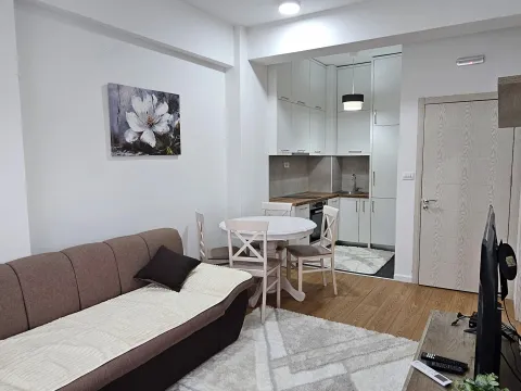 Rent, one bedroom apartment, 35m², Ljubović, Podgorica - image 3