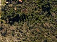 Sale, land lot, 1954m², Donja Lastva, Tivat - image 4