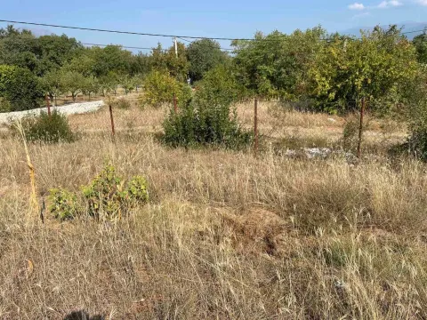 Prodaja, plac, 2454m², Novo Selo, Danilovgrad - image 5