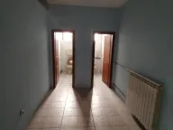 Izdavanje, poslovni prostor, 500m², Batajnica, Beograd - image 9