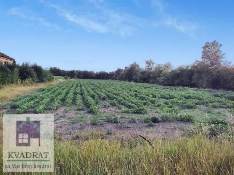 Prodaja, plac, 5500m², Obrenovac, Beograd - image 2