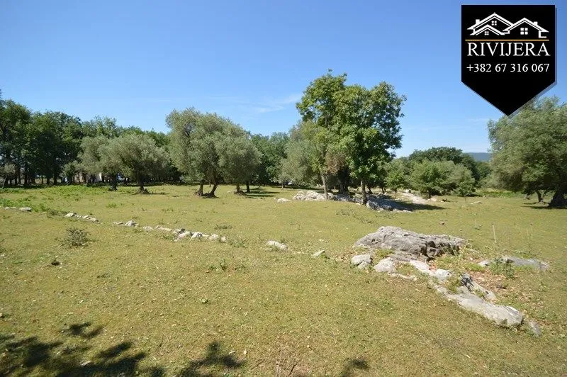Prodaja, plac, 19000m², Podi, Herceg Novi