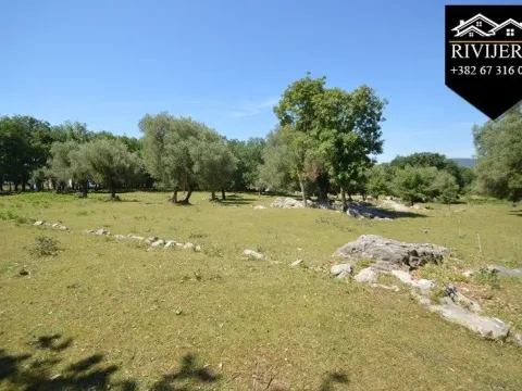 Prodaja, plac, 19000m², Podi, Herceg Novi - image 3