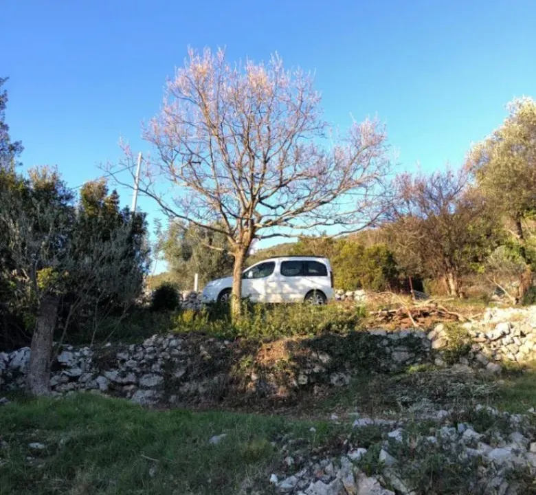 Prodaja, plac, 620m², Luštica, Herceg Novi