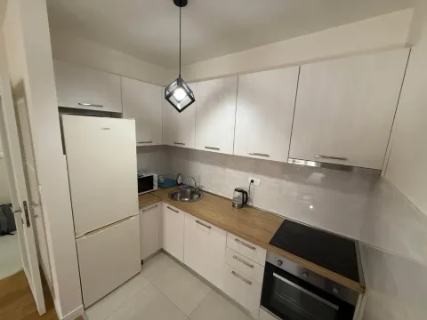 Rent, one bedroom apartment, 49m², Central Point, Podgorica - image 2