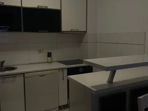 Izdavanje, jednosoban stan, 45m², Stari Aerodrom, Podgorica - image 4