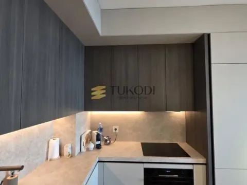 Izdavanje, dvosoban stan, 54m², Savski Venac, Beograd - image 8