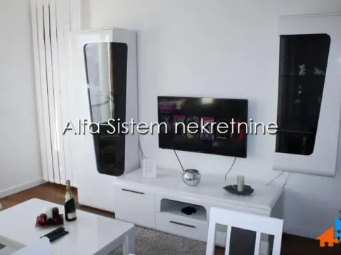 Rent, two bedroom apartment, 40m², Lion, Zvezdara Sve Podlokacije - image 4
