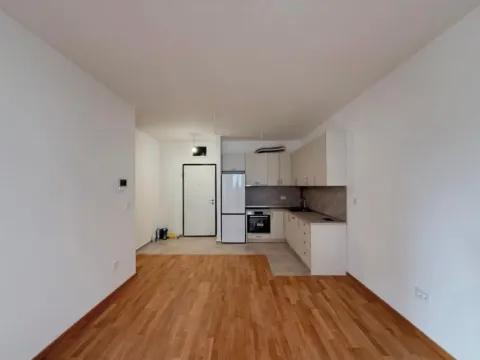 Izdavanje, jednosoban stan, 46m², Stari Aerodrom, Podgorica