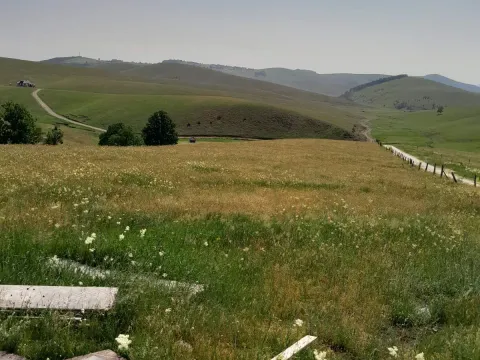 Prodaja, plac, 133175m², Gajevi, Zlatibor - image 6