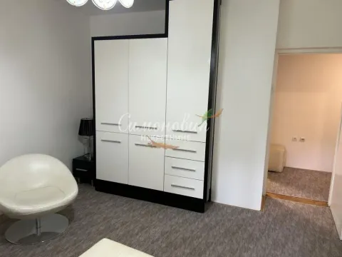 Sale, two bedroom apartment, 54m², Zemun Sve Podlokacije, Beograd - image 3
