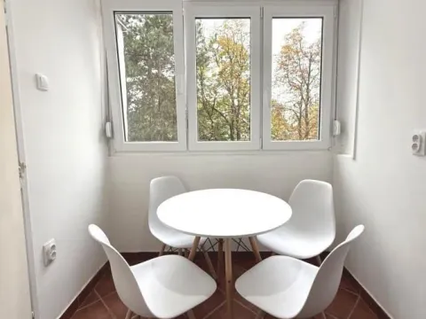 Izdavanje, dvosoban stan, 50m², Voždovac Sve Podlokacije, Beograd - image 5