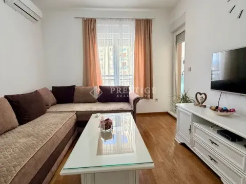 Rent, one bedroom apartment, 45m², Zabjelo, Podgorica - image 1