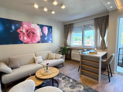 Rent, one bedroom apartment, 45m², Centar, Tivat - image 8