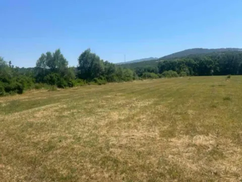 Prodaja, plac, 2000m², Danilovgrad, Crna Gora - image 3