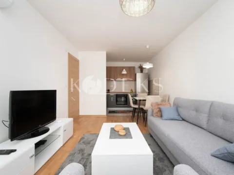 Rent, one bedroom apartment, 40m², Stari Aerodrom, Podgorica - image 2
