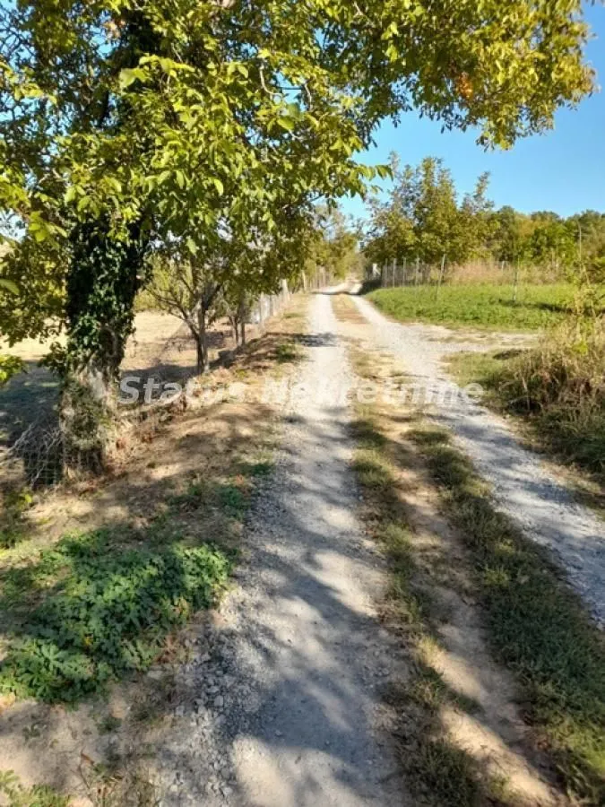 Prodaja, plac, 2900m², Ledinci, Petrovaradin