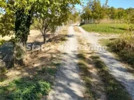 Sale, land lot, 29m², Ledinci, Petrovaradin - image 4