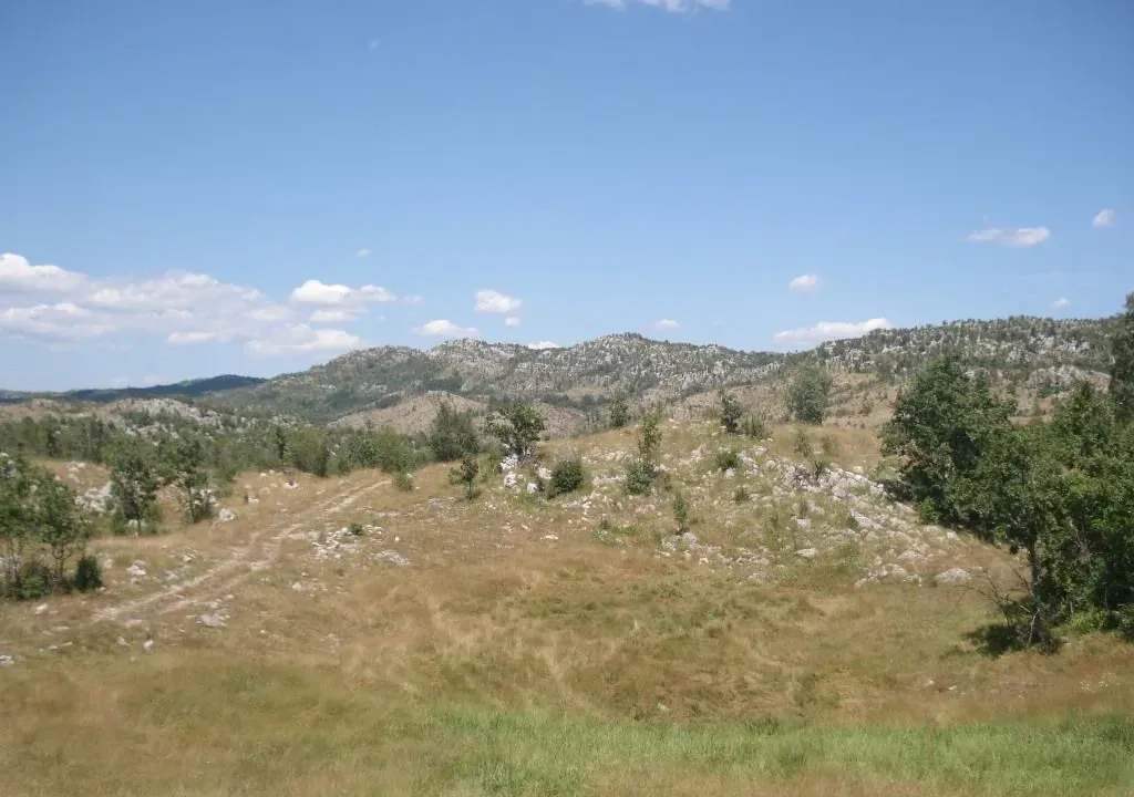 Sale, land lot, 800000m², Cetinje, Crna Gora