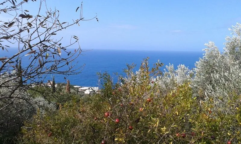 Prodaja, plac, 4864m², Reževići, Budva