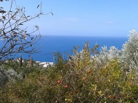 Prodaja, plac, 4864m², Reževići, Budva - image 3