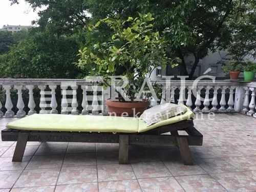 Spacious terrace with a sun lounger and decorative plants.