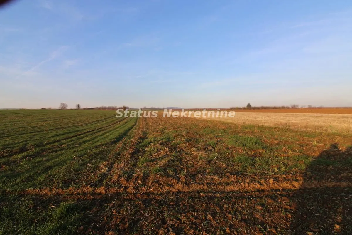 Prodaja, plac, 7700m², Irig, Srbija