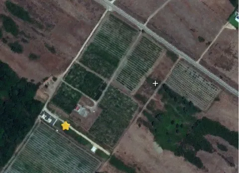 Sale, land lot, 300m², Gornji Štoj, Ulcinj - image 2