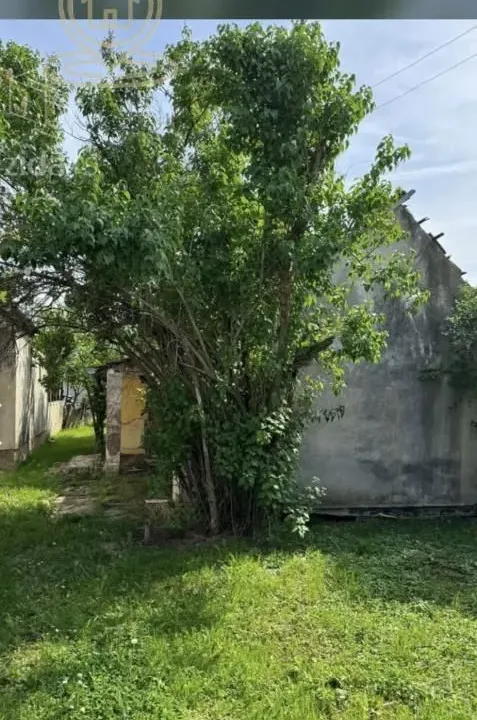 Sale, house, 469m², Futog, Novi Sad Sve Podlokacije