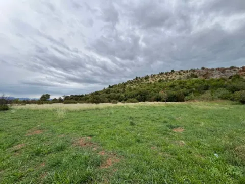 Prodaja, plac, 1903m², Zelenika, Podgorica