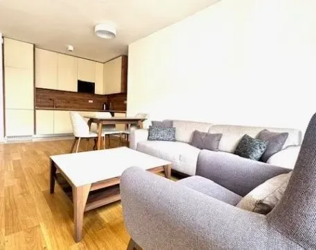 Izdavanje, jednosoban stan, 47m², Podgorica, Crna Gora - image 4