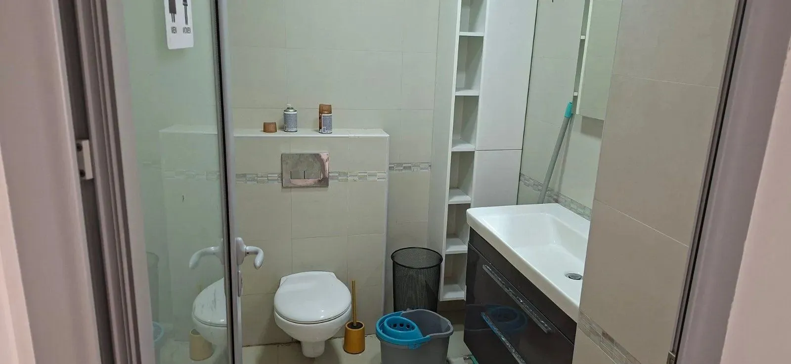 Small bathroom with a sink, toilet, and storage shelves.