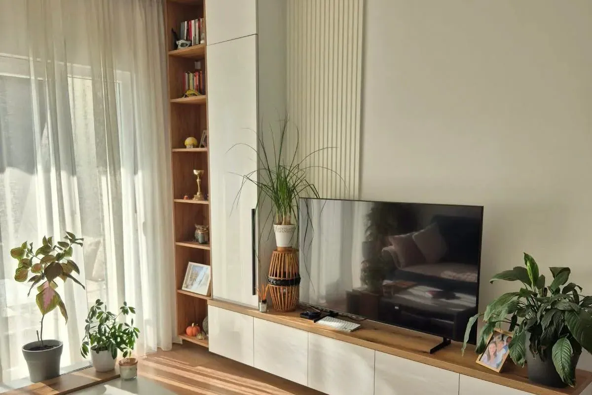 Living room with a modern TV unit, shelving, and houseplants.