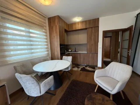 Rent, one bedroom apartment, 45m², Vezirov Most, Podgorica - image 6